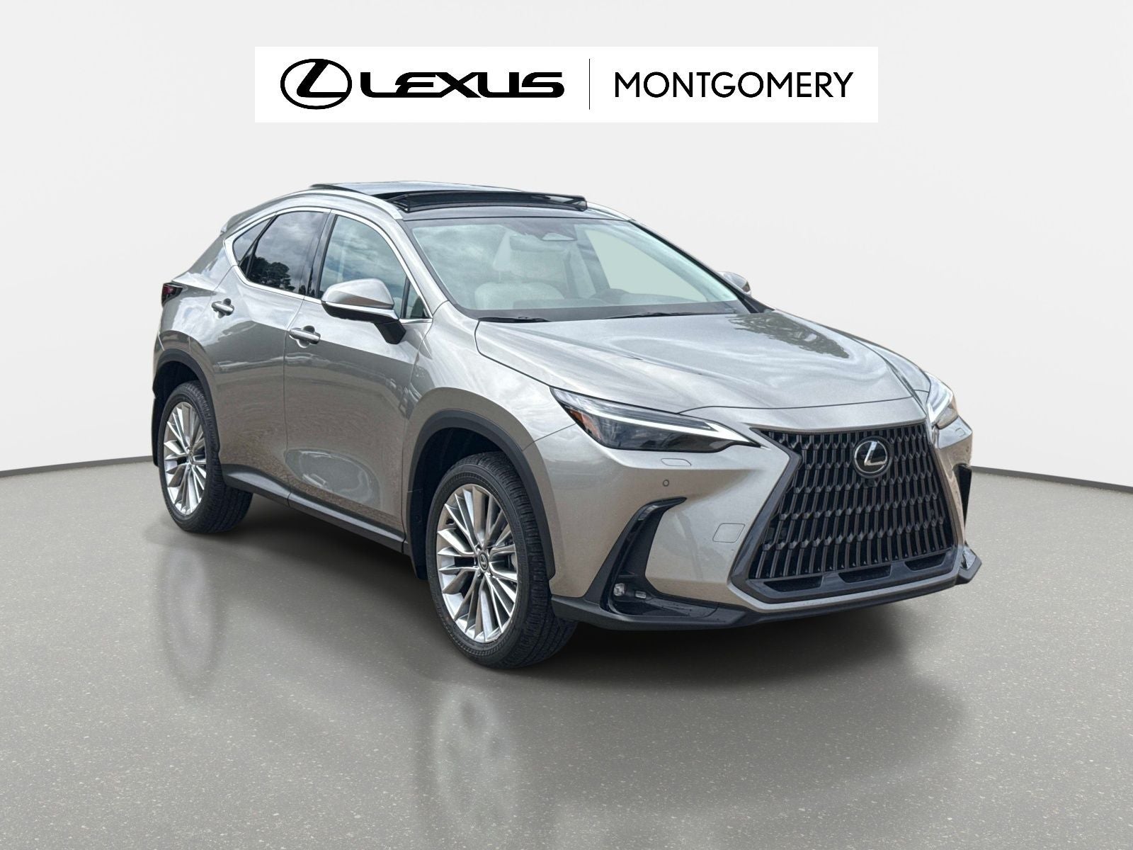2026 Lexus NX 350 Luxury