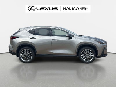 2026 Lexus NX 350 Luxury