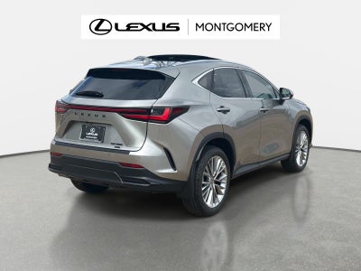 2026 Lexus NX 350 Luxury