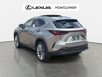 2026 Lexus NX 350 Luxury