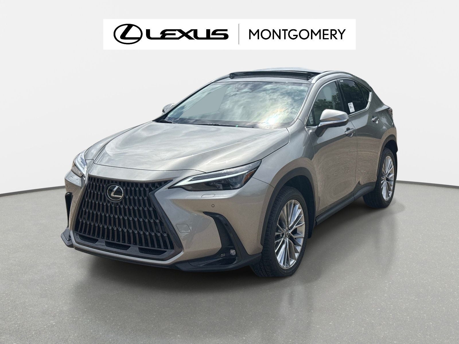2026 Lexus NX 350 Luxury