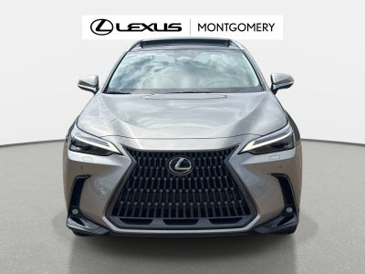 2026 Lexus NX 350 Luxury