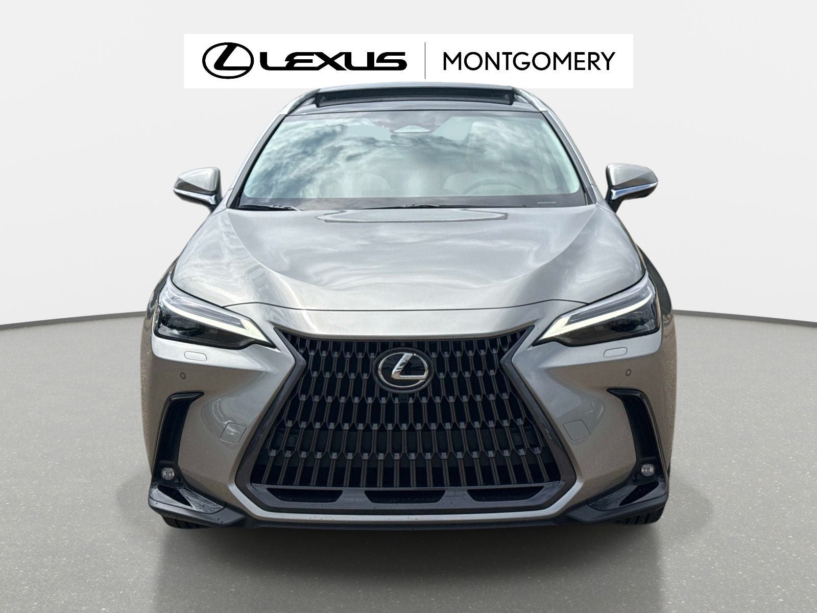 2026 Lexus NX 350 Luxury