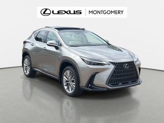 2026 Lexus NX 350 Luxury