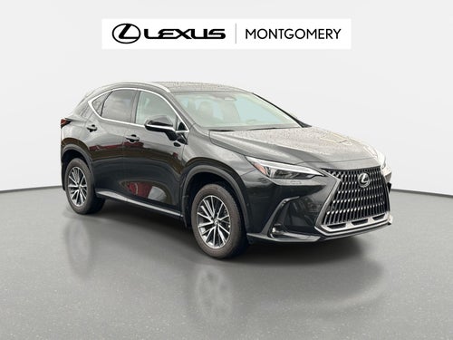 2025 Lexus NX 350h Luxury
