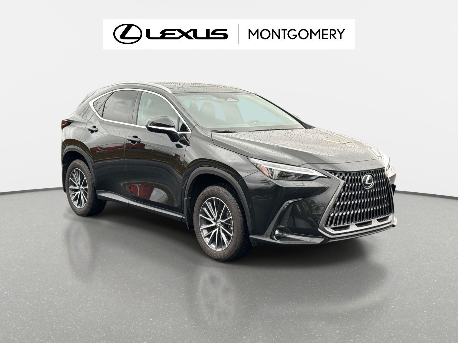 2025 Lexus NX 350h Luxury