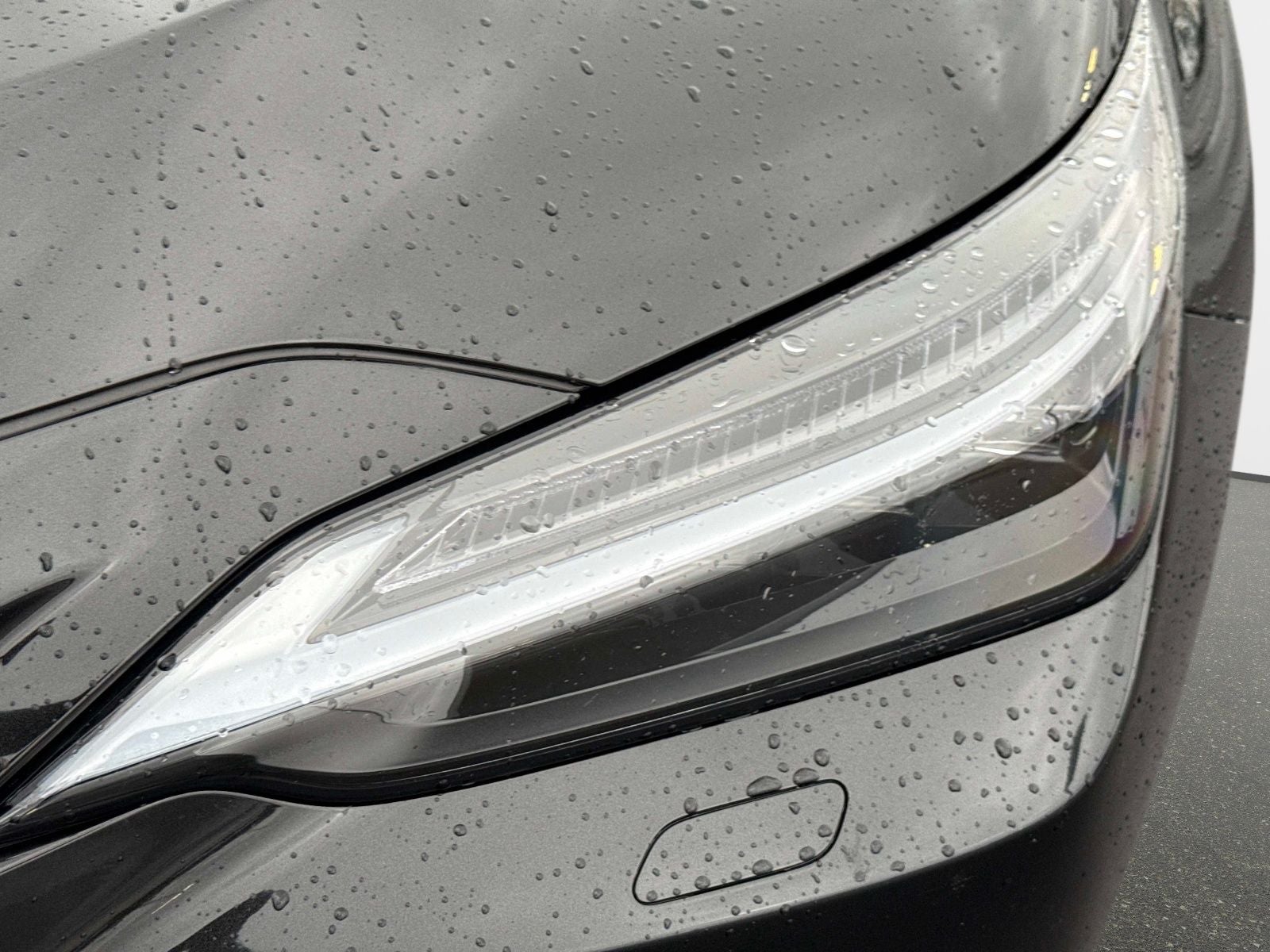 2025 Lexus NX 350h Luxury