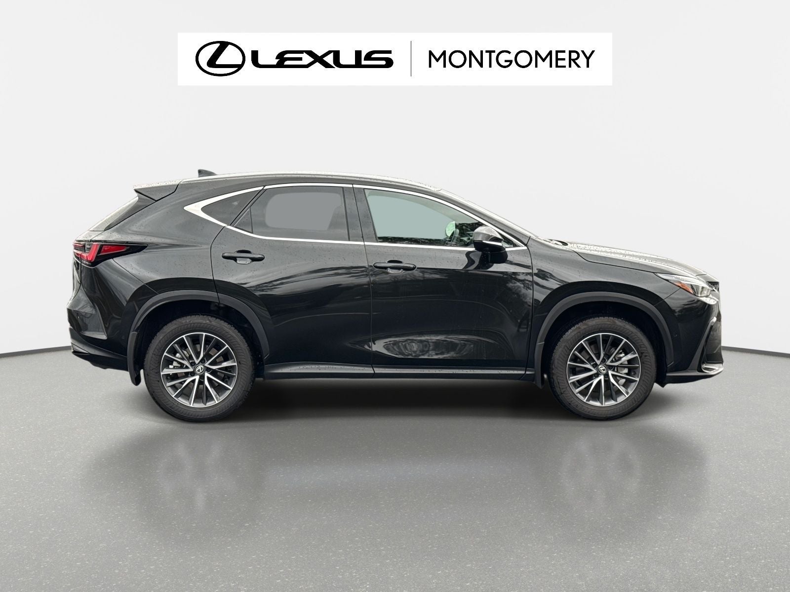 2025 Lexus NX 350h Luxury