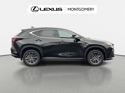 2025 Lexus NX 350h Luxury