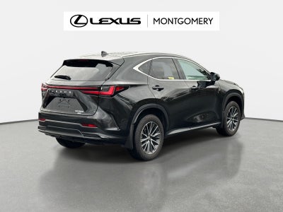 2025 Lexus NX 350h Luxury