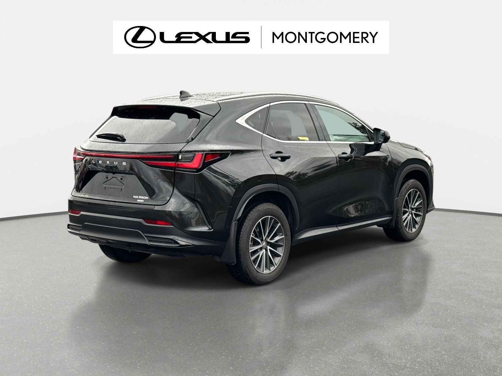 2025 Lexus NX 350h Luxury