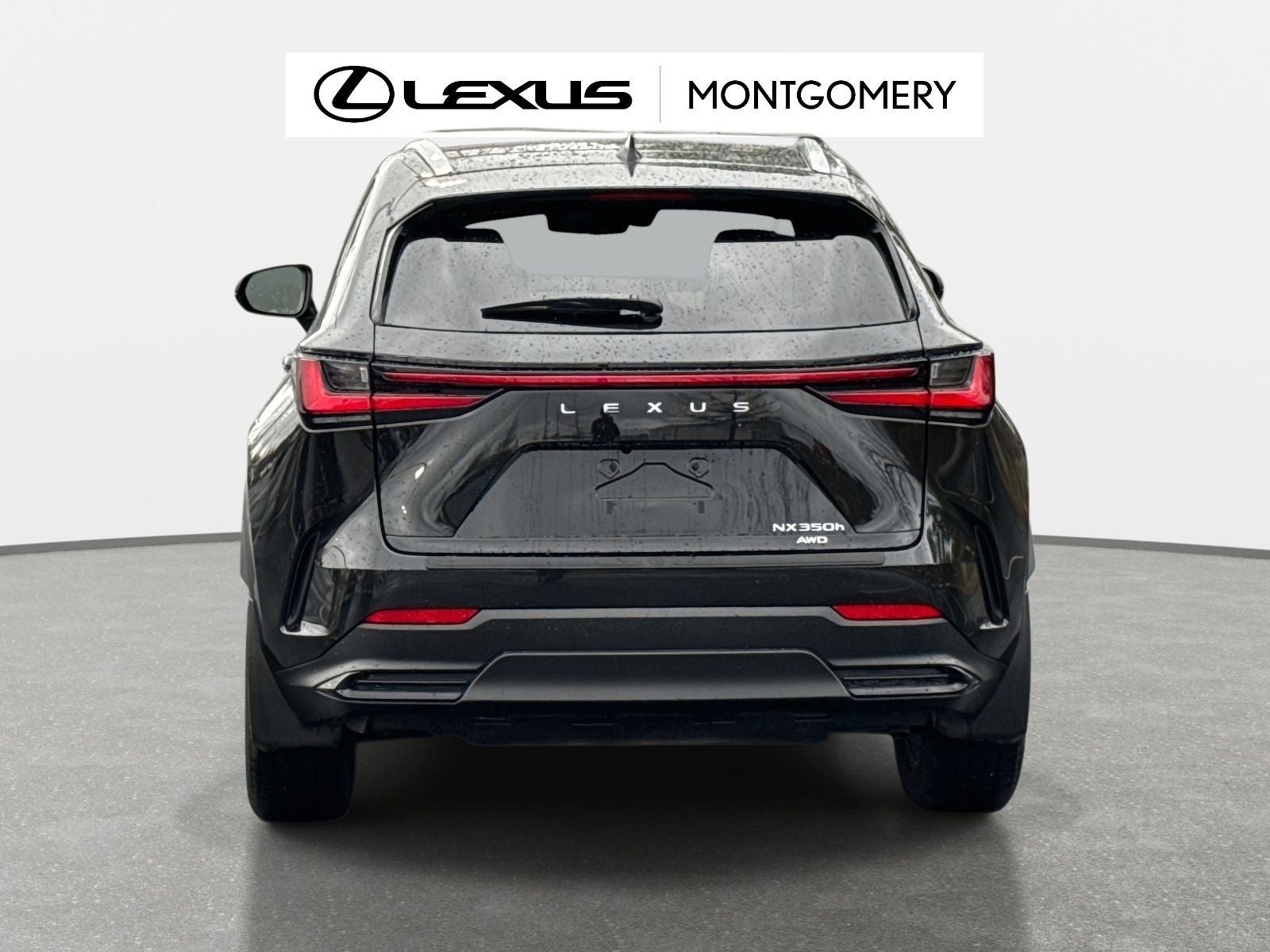 2025 Lexus NX 350h Luxury