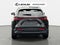 2025 Lexus NX 350h Luxury