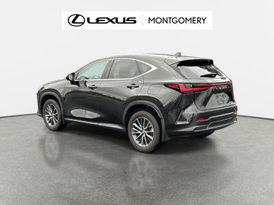 2025 Lexus NX 350h Luxury