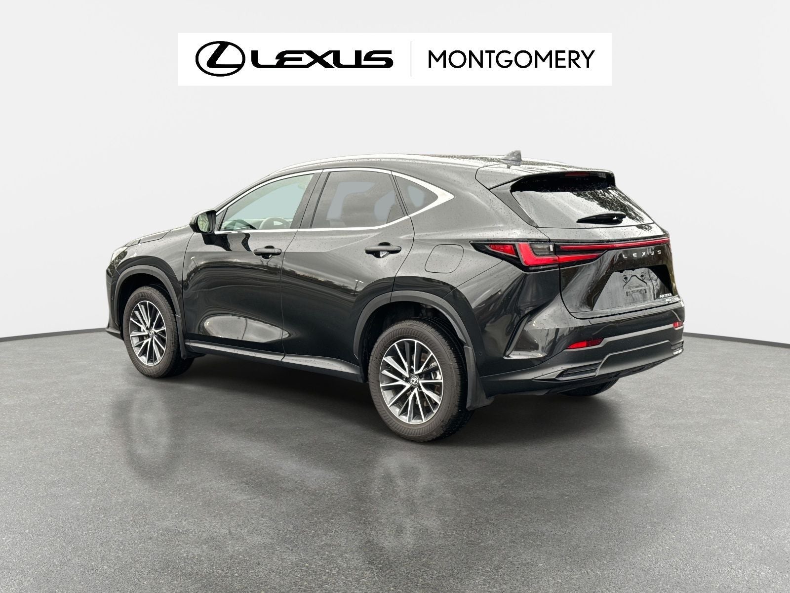 2025 Lexus NX 350h Luxury