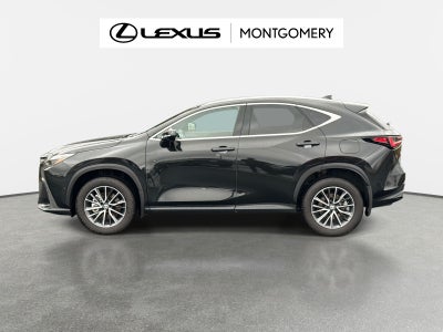 2025 Lexus NX 350h Luxury