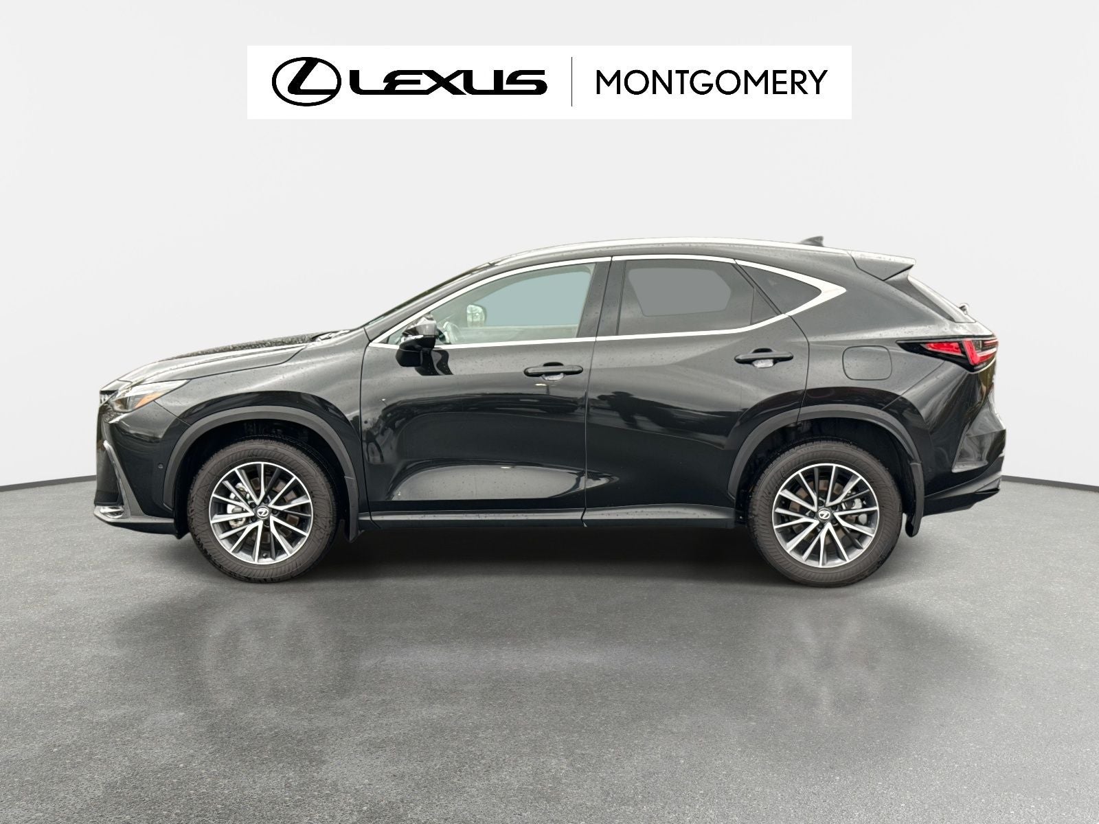 2025 Lexus NX 350h Luxury