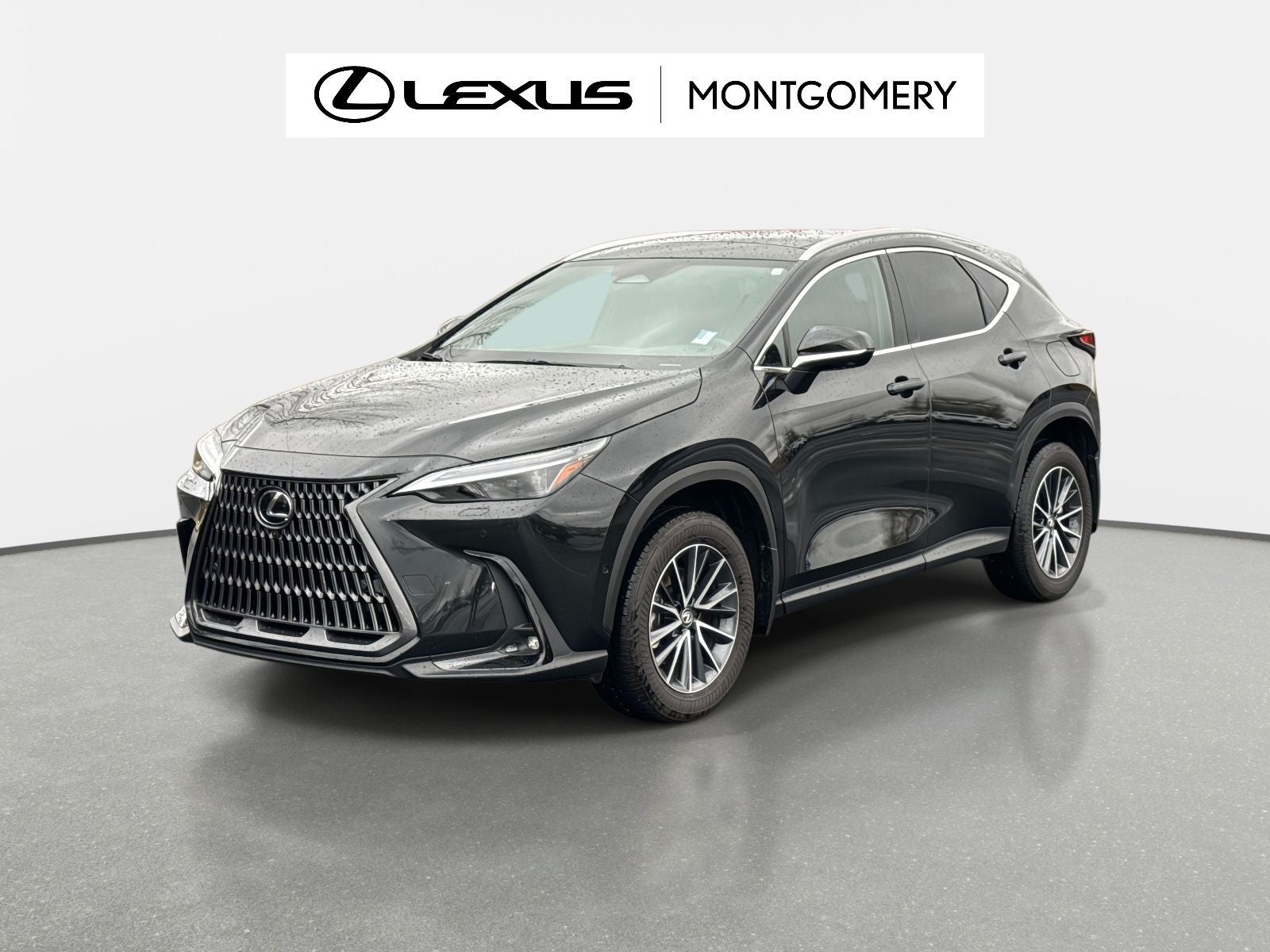 2025 Lexus NX 350h Luxury