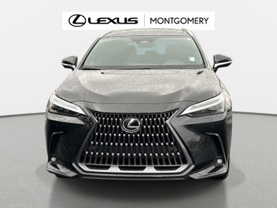 2025 Lexus NX 350h Luxury