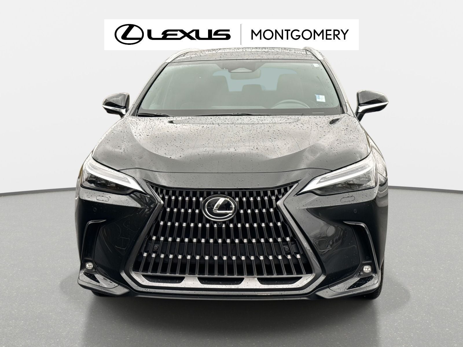 2025 Lexus NX 350h Luxury