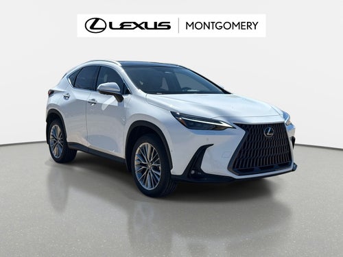 2026 Lexus NX 350h Luxury