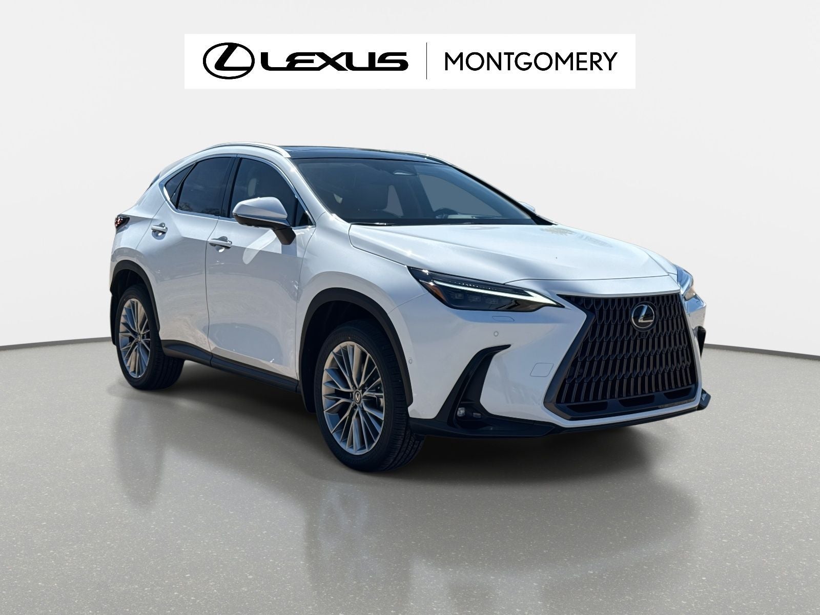 2026 Lexus NX 350h Luxury