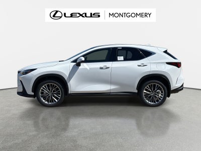 2026 Lexus NX 350h Luxury