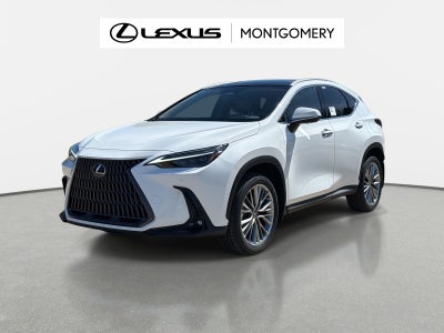 2026 Lexus NX 350h Luxury