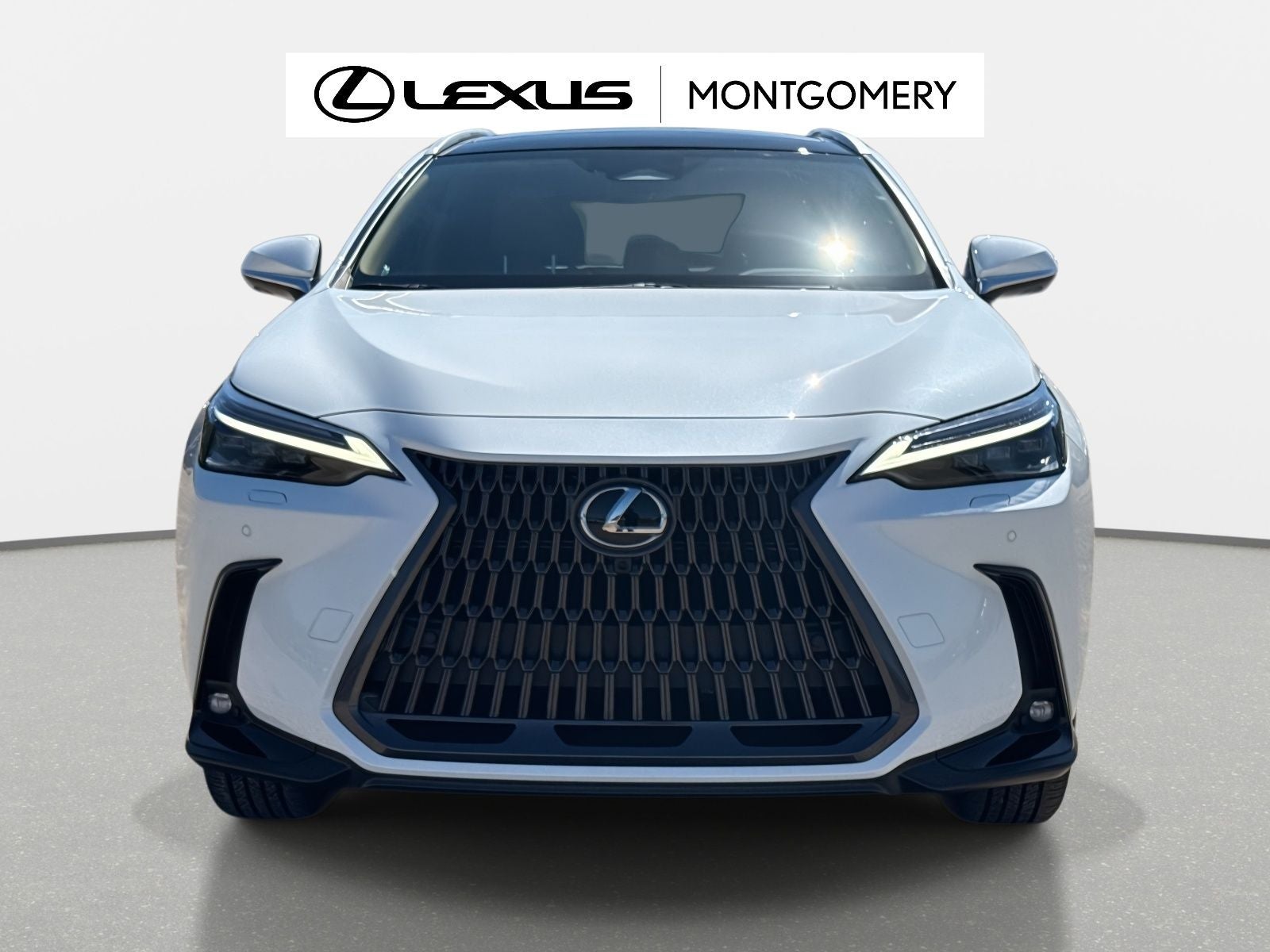 2026 Lexus NX 350h Luxury