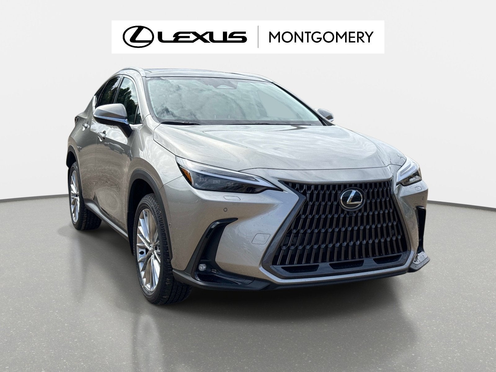 2026 Lexus NX 350h Luxury