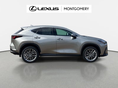 2026 Lexus NX 350h Luxury