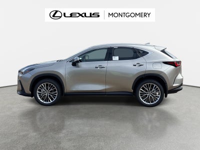 2026 Lexus NX 350h Luxury