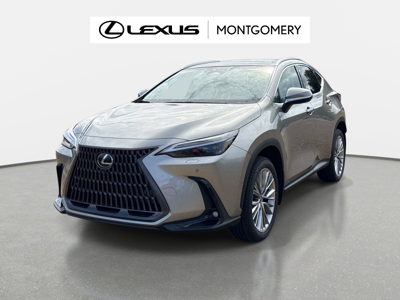 2026 Lexus NX 350h Luxury