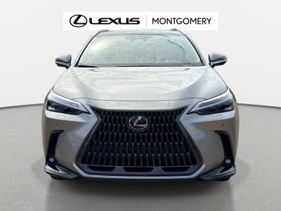 2026 Lexus NX 350h Luxury