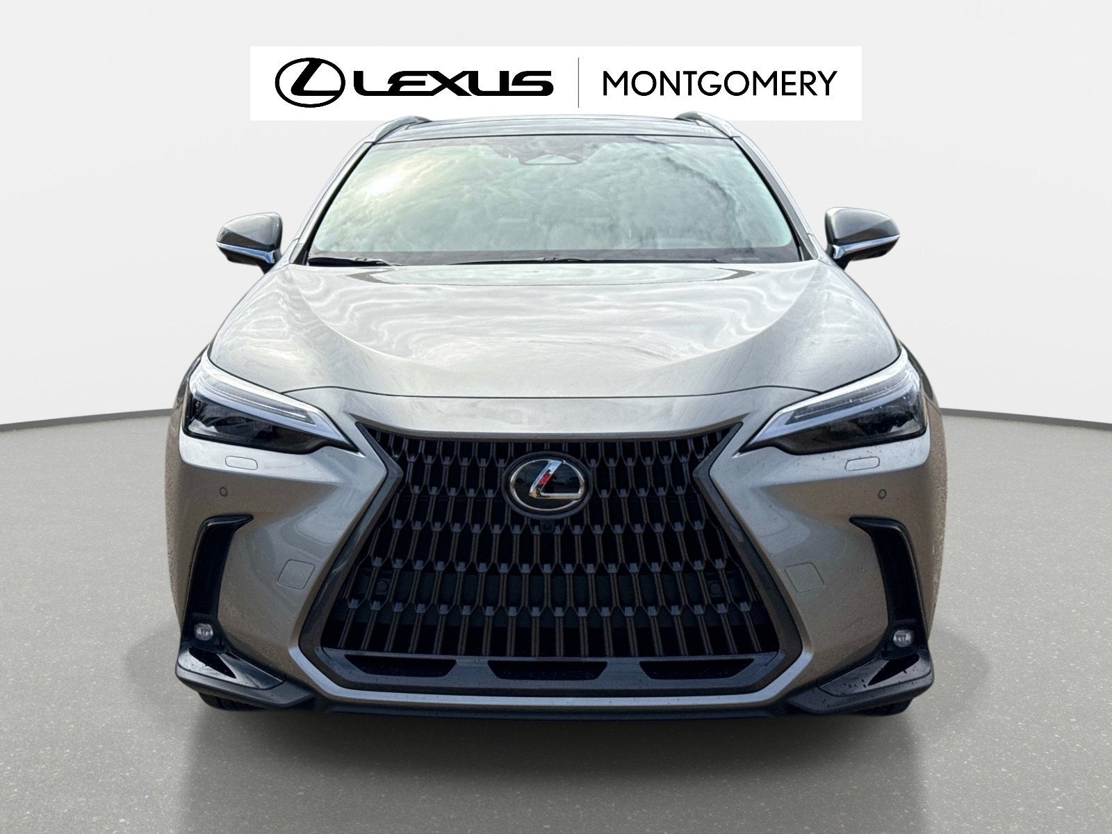 2026 Lexus NX 350h Luxury