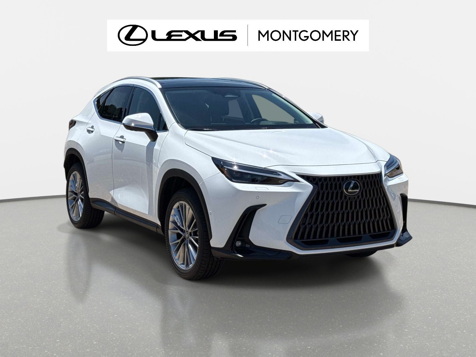2026 Lexus NX 350h Luxury