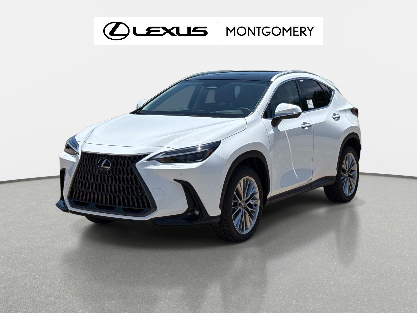 2026 Lexus NX 350h Luxury