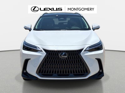 2026 Lexus NX 350h Luxury