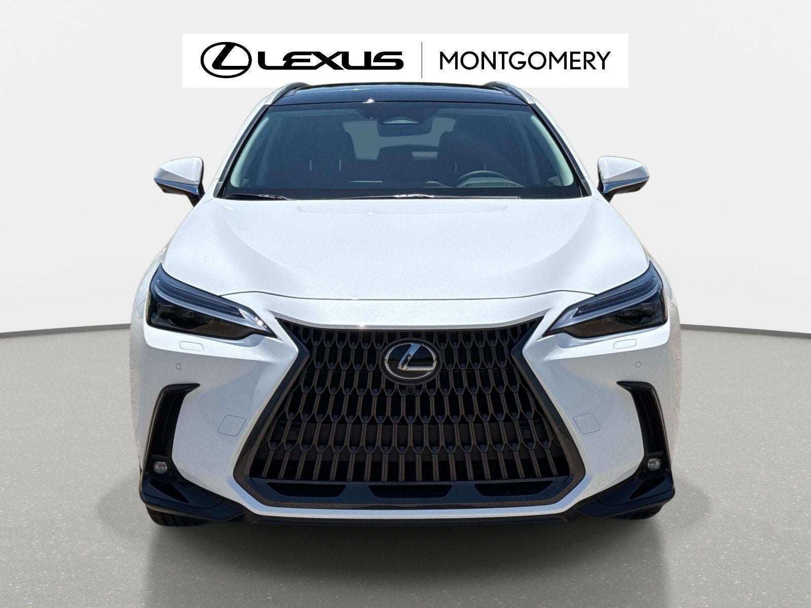 2026 Lexus NX 350h Luxury