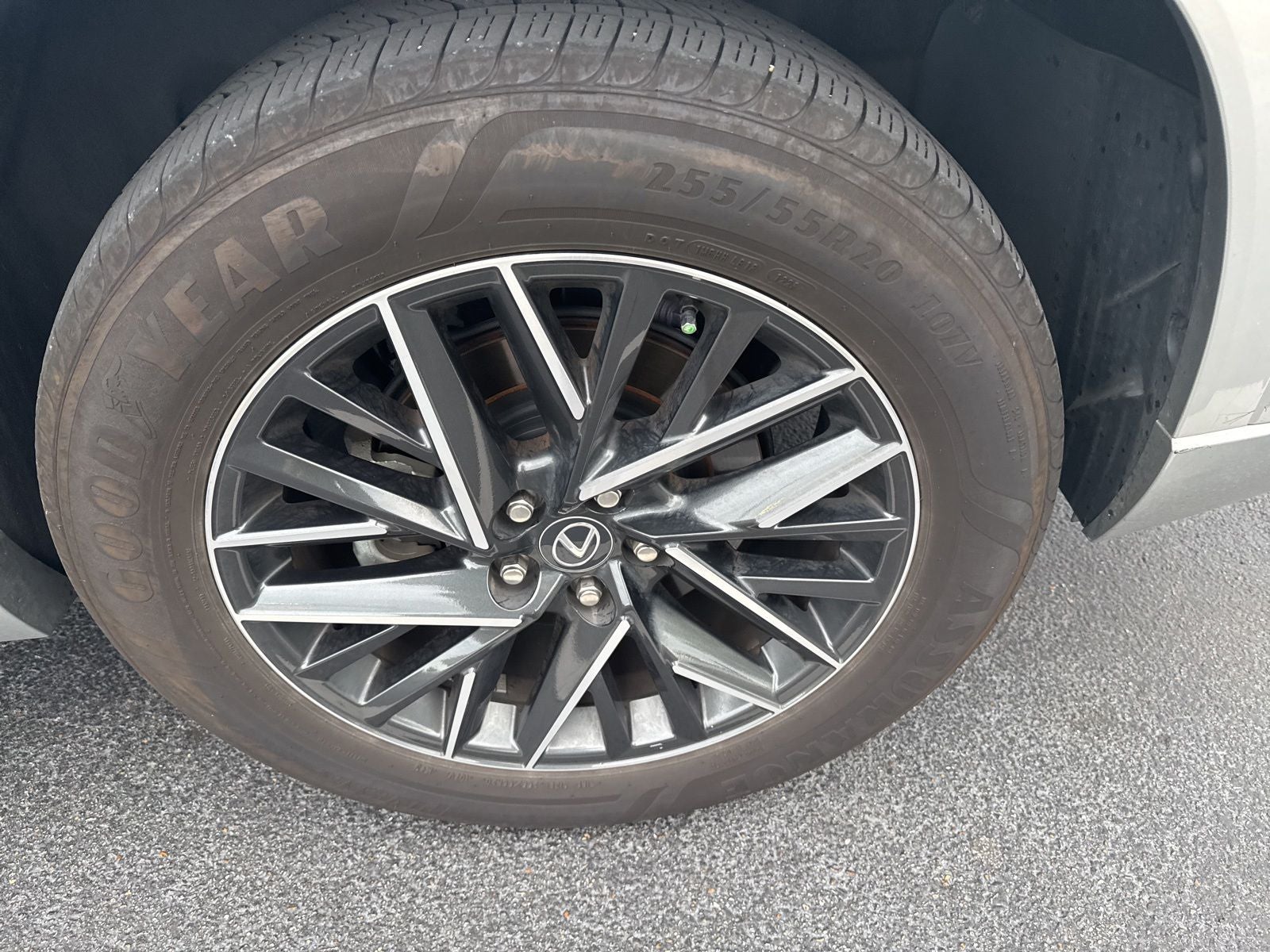 2025 Lexus TX 350 Premium