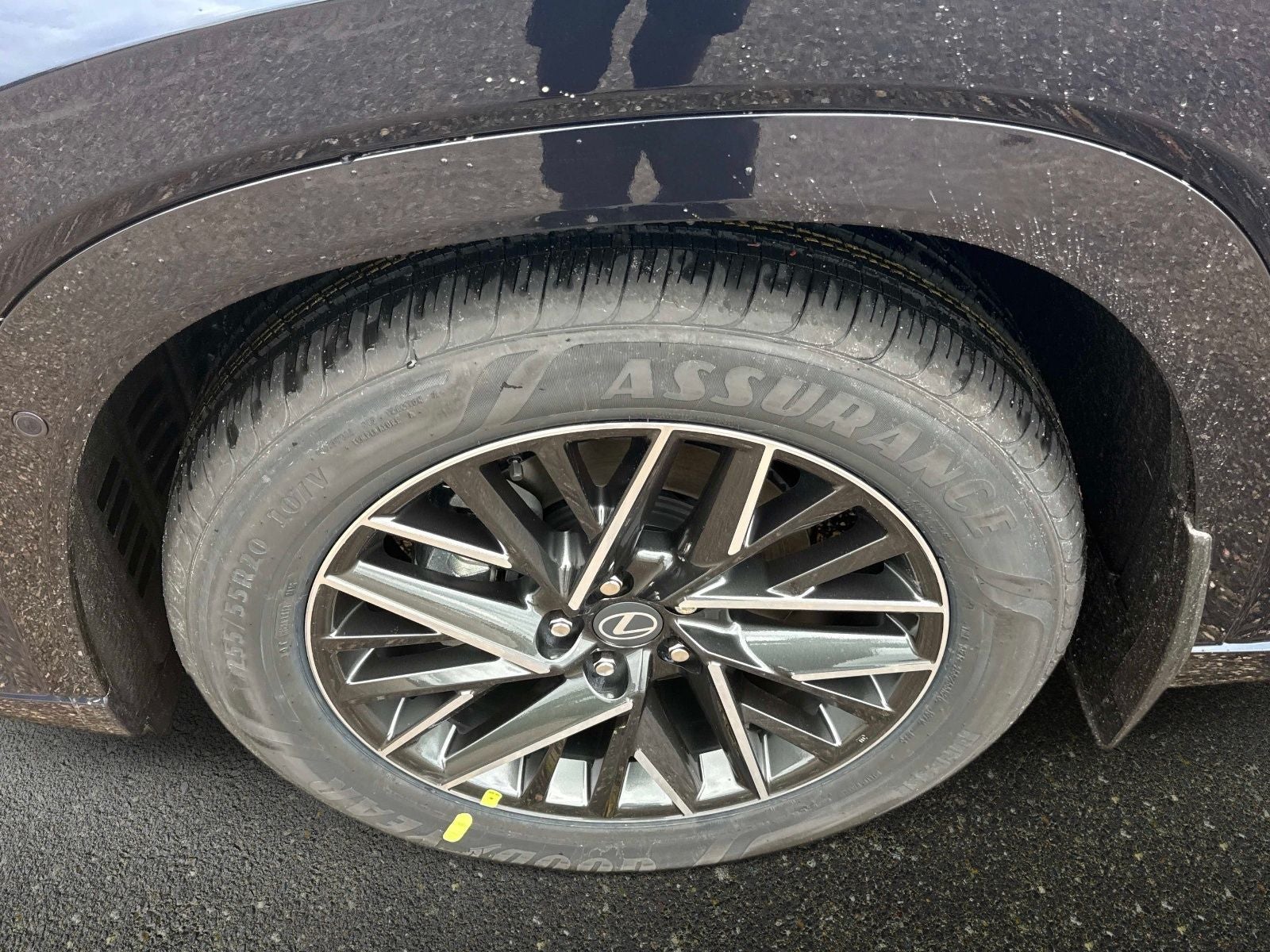 2026 Lexus TX 350 Premium