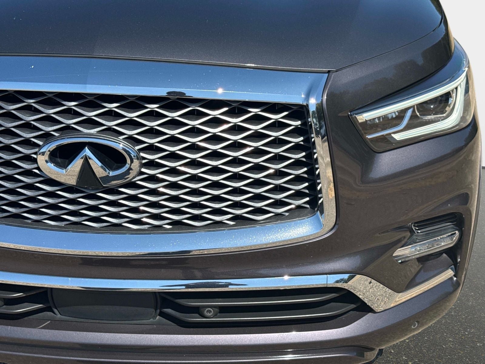 2023 INFINITI QX80 Sensory