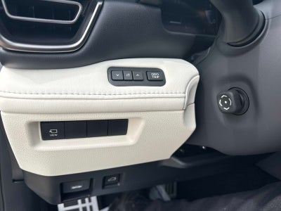 2026 Lexus IS 350 F SPORT