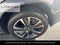 2025 Lexus UX 300h Premium