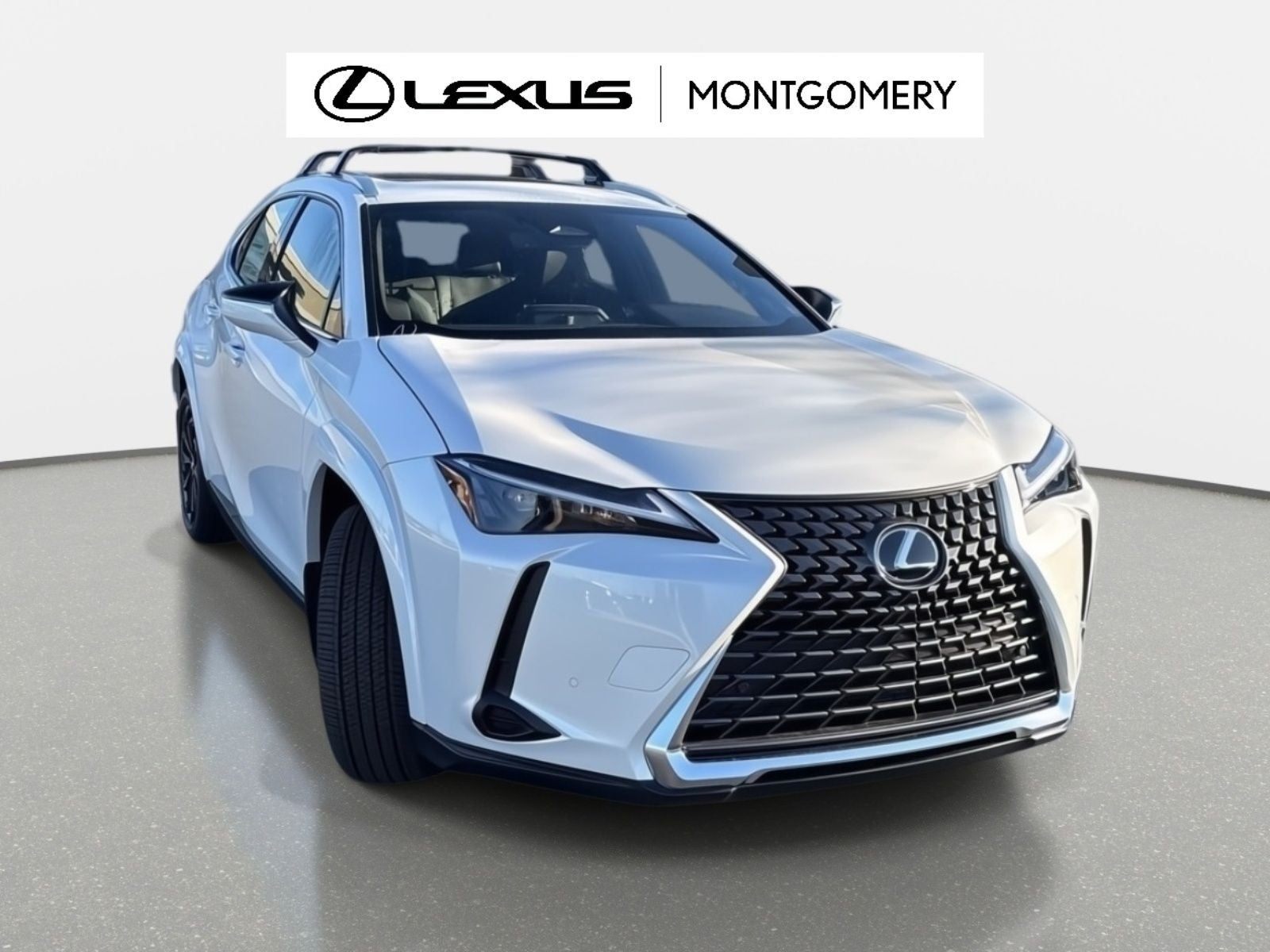 2025 Lexus UX 300h Premium