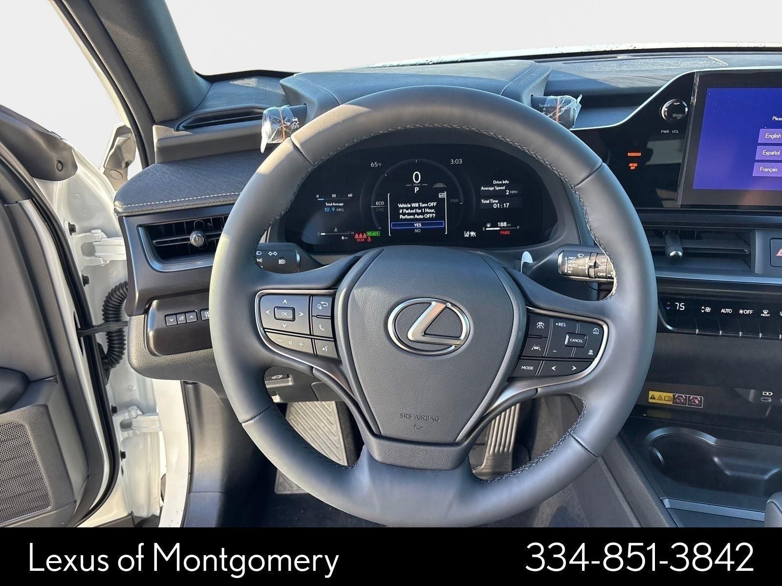 2025 Lexus UX 300h Premium