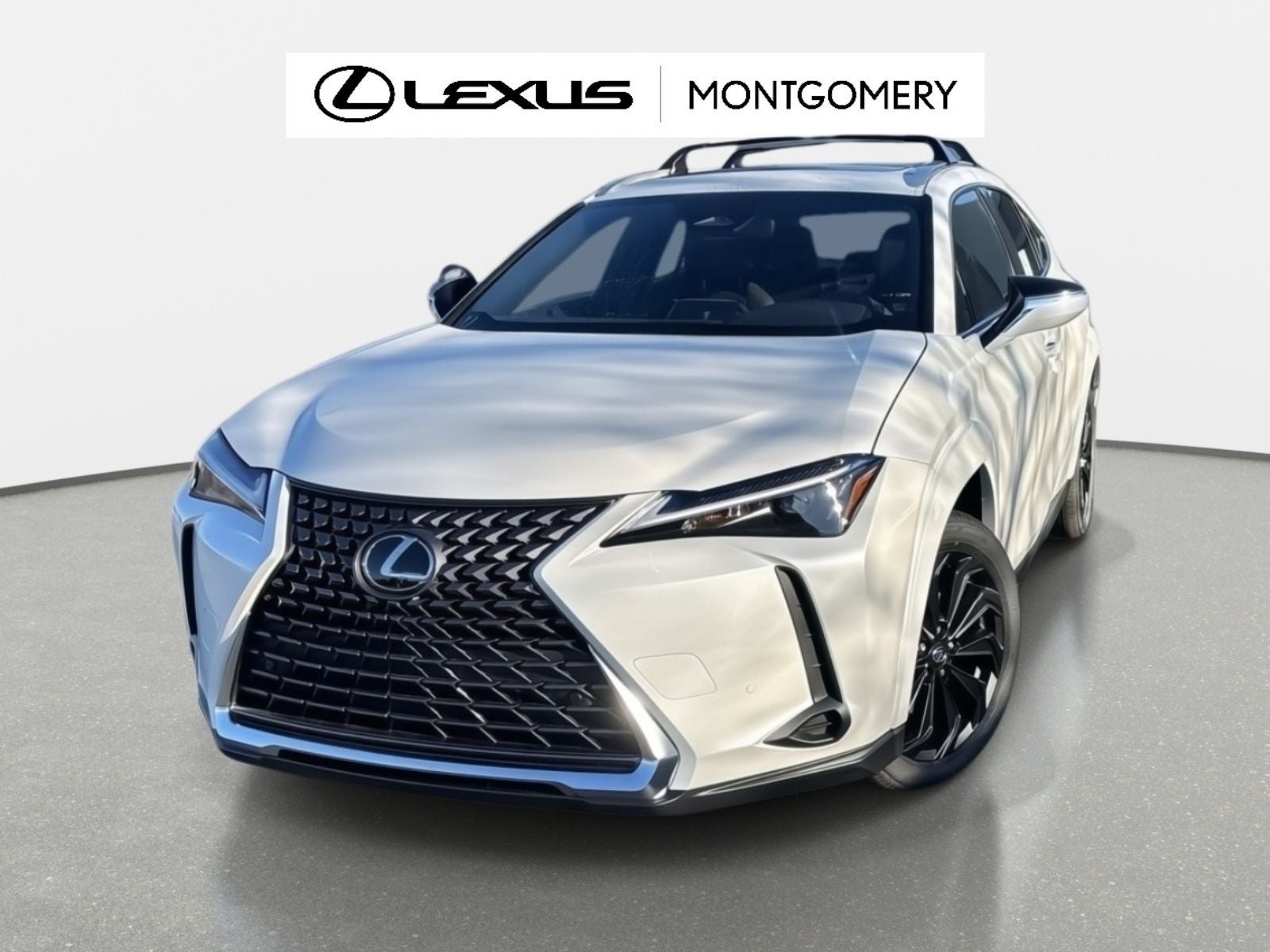 2025 Lexus UX 300h Premium