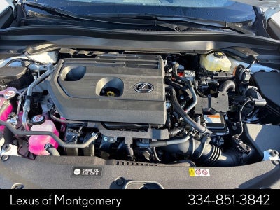 2025 Lexus UX 300h Premium