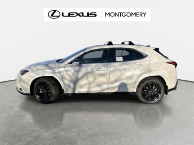2025 Lexus UX 300h Premium