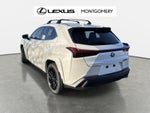 2025 Lexus UX 300h Premium